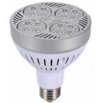 35 Watt PAR LED Bulb (Heat Sink Fan Inside)