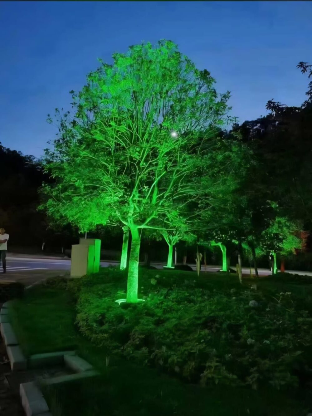 garden light