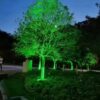 garden light